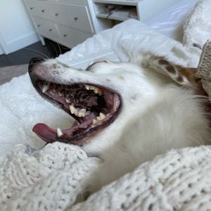 Meet your Posher, Kylie